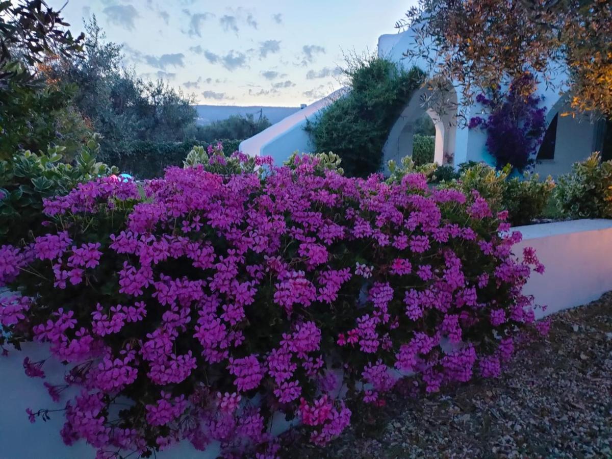 B&B Casrienn Mattinata Dış mekan fotoğraf