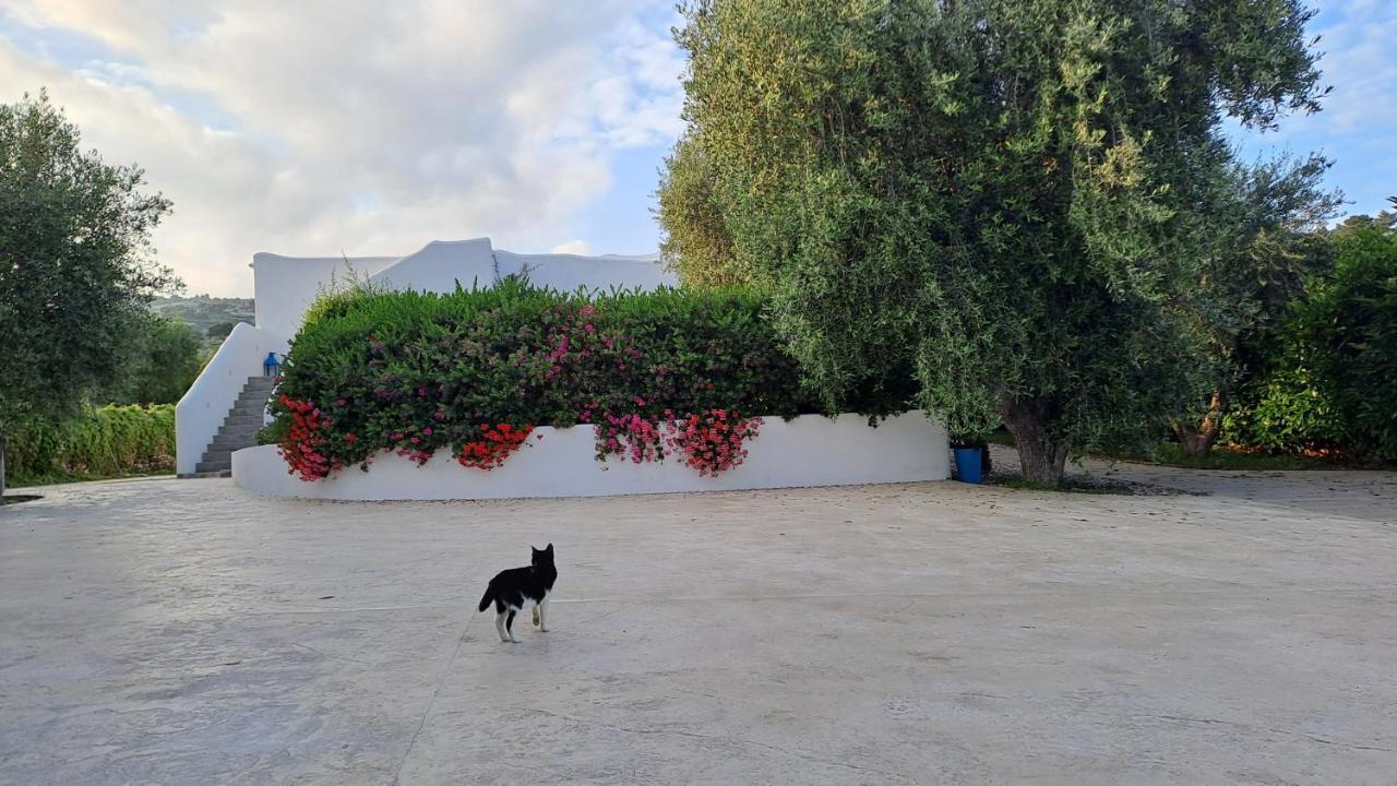 B&B Casrienn Mattinata Dış mekan fotoğraf